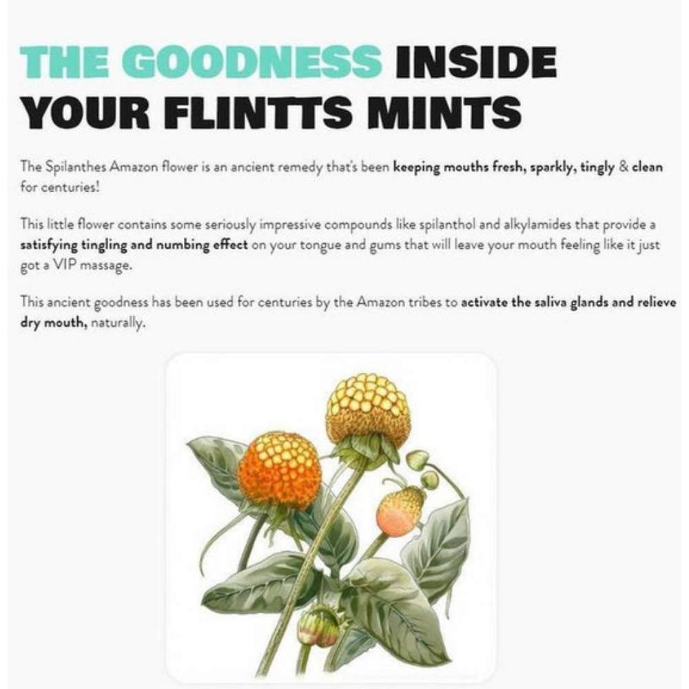 Flintts Mints Mouth Watering Oral Delights